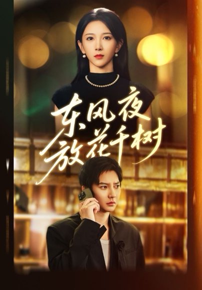 东风夜放花千树&＆燕西误尽瑶台月（91集）白羽&高明君 高清完整版