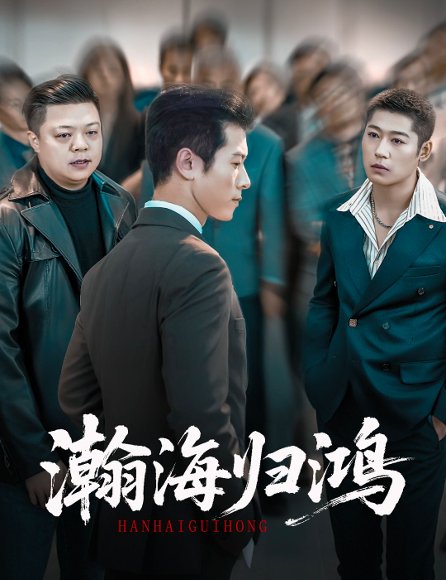 瀚海归鸿（74集）林思彤＆赖艺 高清完整版