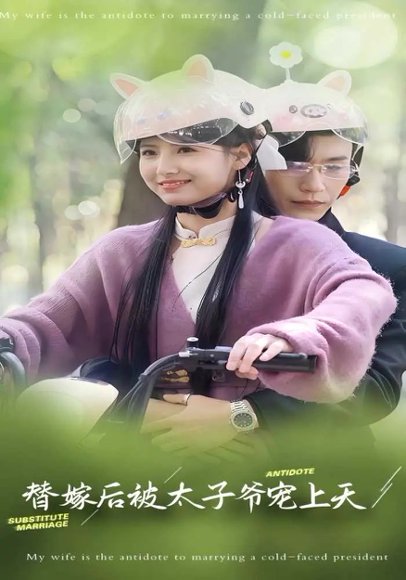 替嫁后被太子爷宠上天（80集）王槿&沉思 高清完整版